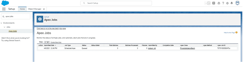 Screenshot apex jobs